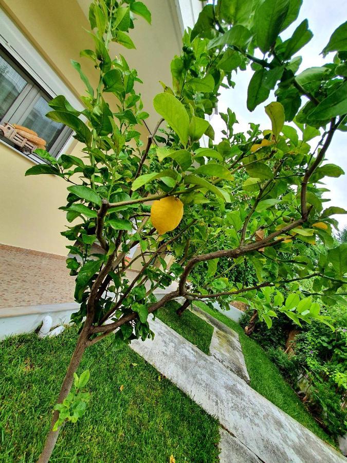 Apartamenty Rodzinne Kamena Vourla Exterior foto